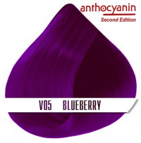 Краска для волос ANTHOCYANIN - V05