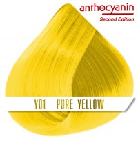 Краска для волос ANTHOCYANIN - Y01 