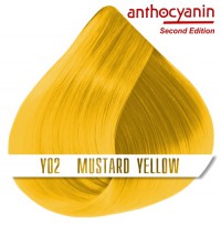 Краска для волос ANTHOCYANIN - Y02 