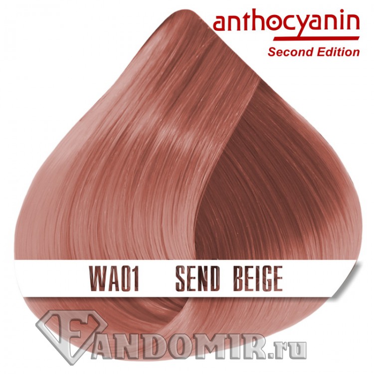 Краска для волос ANTHOCYANIN - WA01