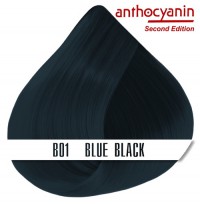 Краска для волос ANTHOCYANIN - B01