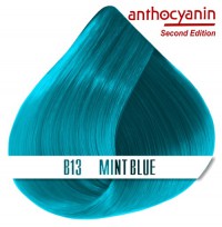 Краска для волос ANTHOCYANIN - B13