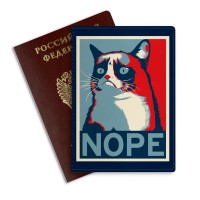Обложка на паспорт GRUMPY CAT #1