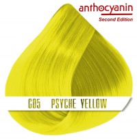 Краска для волос ANTHOCYANIN - G05