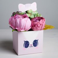 Коробка для цветов с топпером Котик