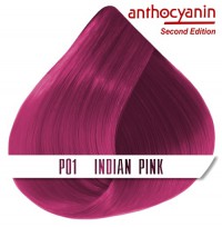 Краска для волос ANTHOCYANIN - P01