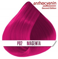 Краска для волос ANTHOCYANIN - P02 