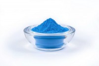 Краска Холи. Синяя (100 гр)
