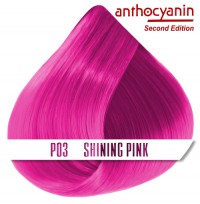 Краска для волос ANTHOCYANIN - P03