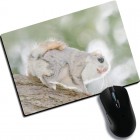 Коврик для мышки БЕЛКИ (много видов на выбор) - Коврик для мышки БЕЛКИ (много видов на выбор)