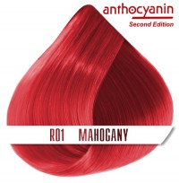 Краска для волос ANTHOCYANIN - R01