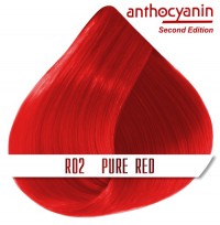 Краска для волос ANTHOCYANIN - R02