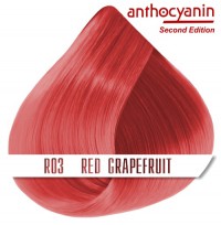 Краска для волос ANTHOCYANIN - R03